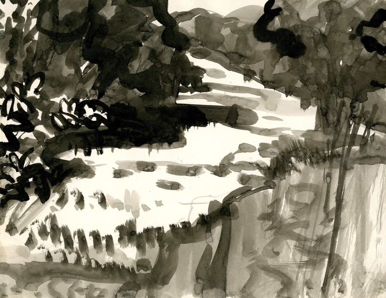 black and white landscape with a river running through