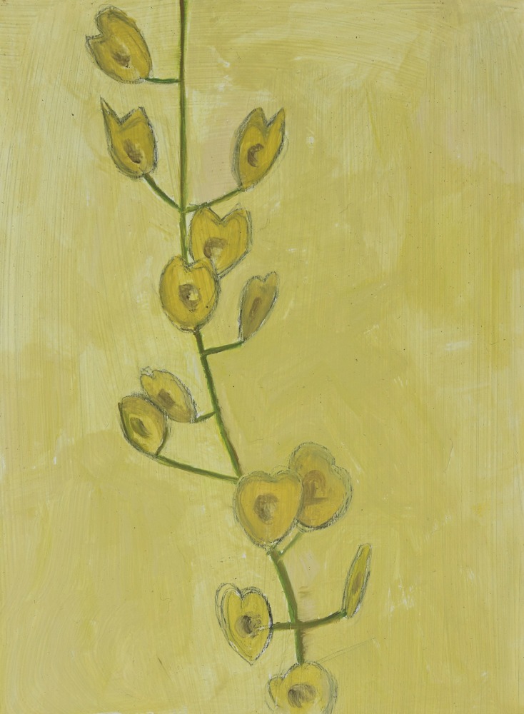 Painting of a stem of yellow-green seed pods on a yellow ground