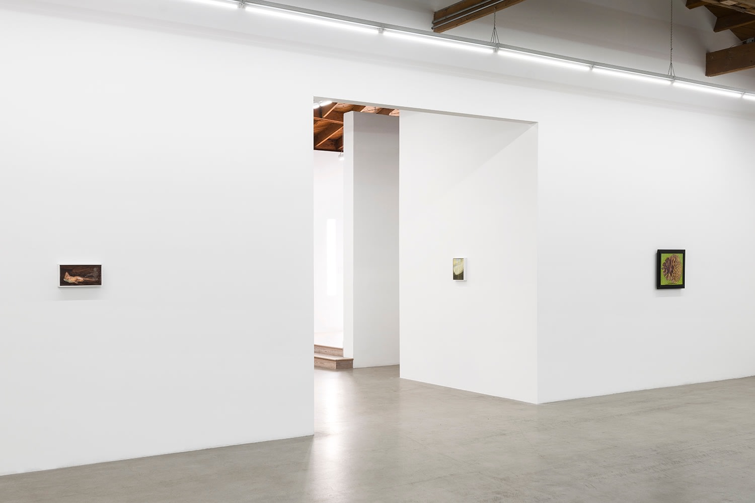 Lois Dodd | Ellen Siebers