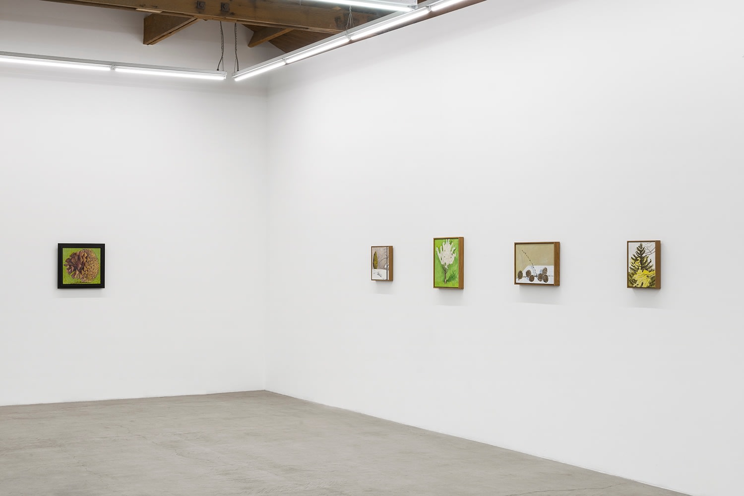 Lois Dodd | Ellen Siebers