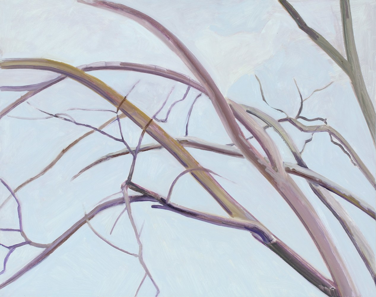 Lois Dodd, Elm Tree Branches and Sky, 2020, oil on Masonite, 16 3/4 x 20 inches