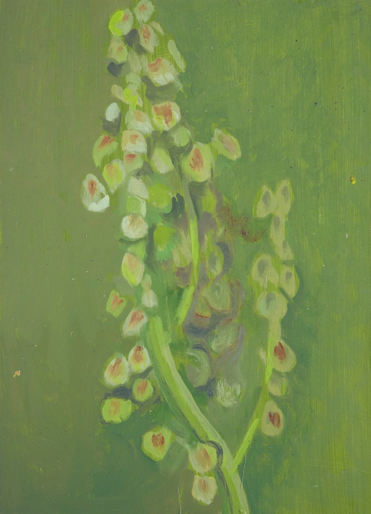 Painting of a flowering plant on a green ground