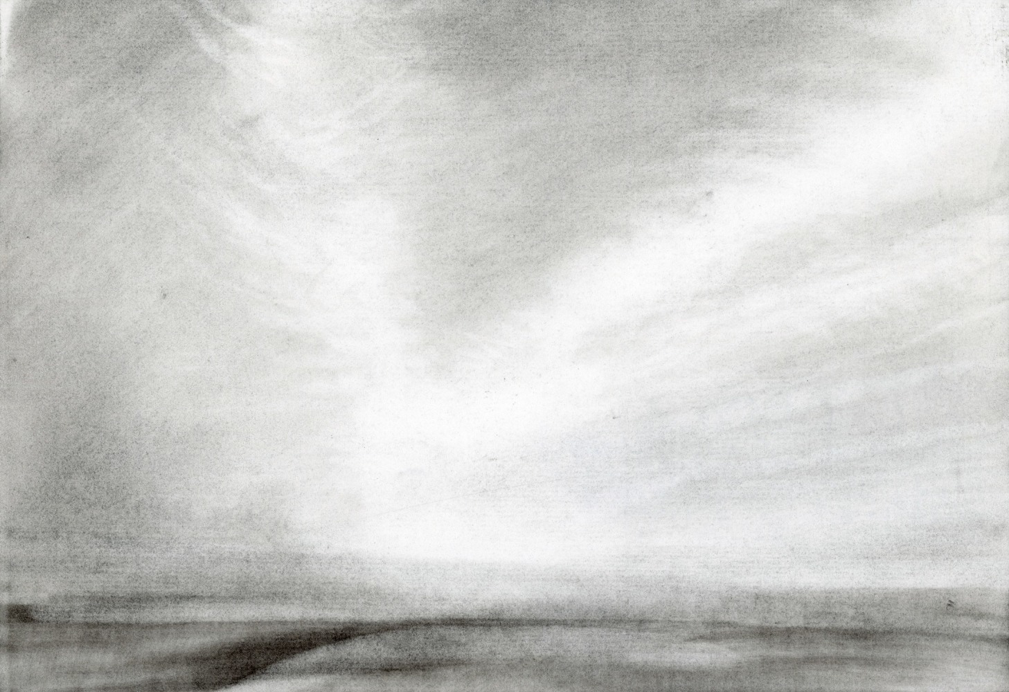 Emily Nelligan,&amp;nbsp;20 Aug 95 (1), 1995 charcoal on paper,&amp;nbsp;7 1/4 x 10 1/2 inches