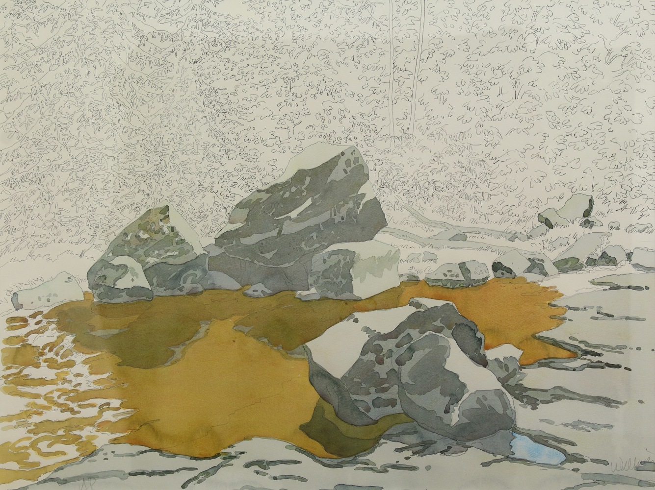 Partially-colored lithograph of cedar trees and stones reflected in a patch of amber-colored water