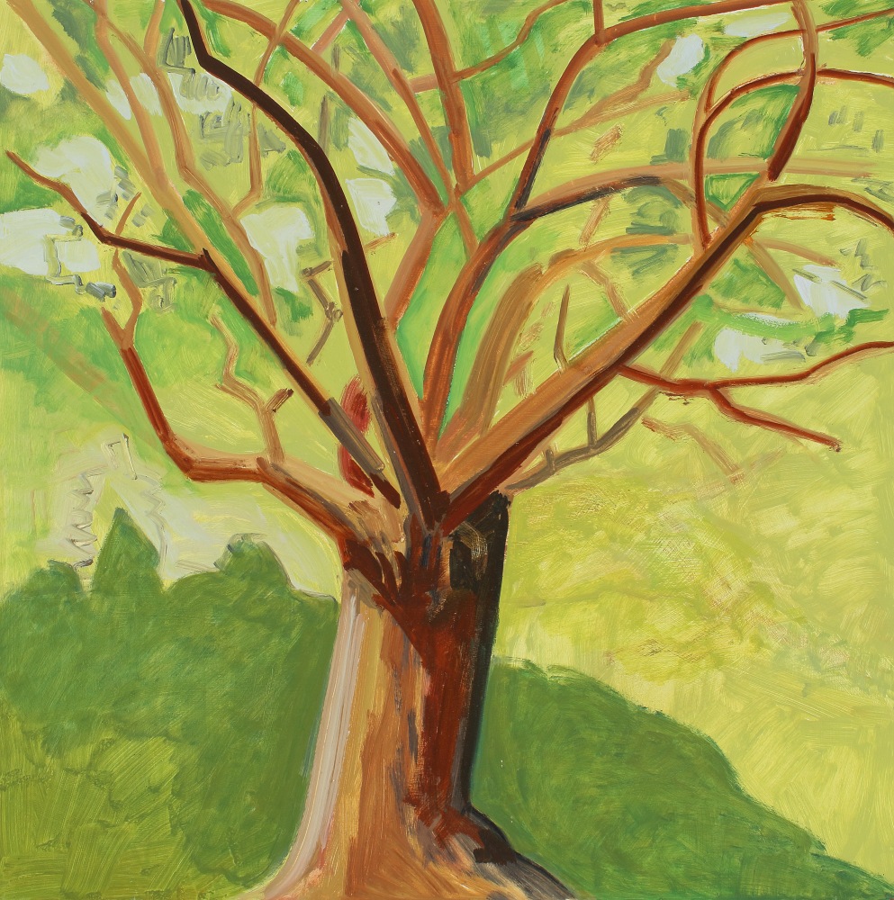 Tree, 2019, oil on Masonite, 16 x 16 inches