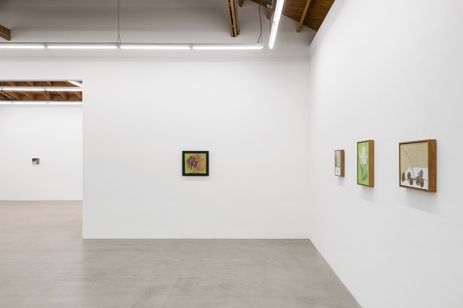 Lois Dodd | Ellen Siebers