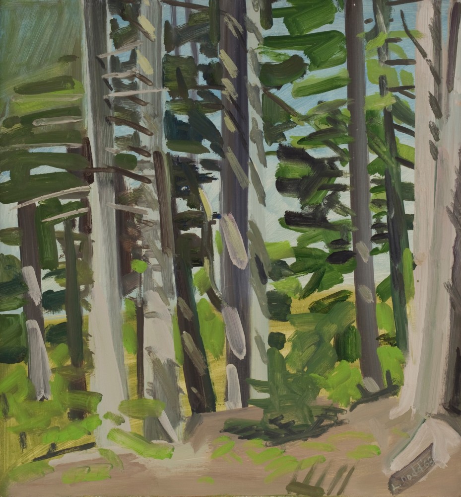Landscape painting of evergreen trees in a forest