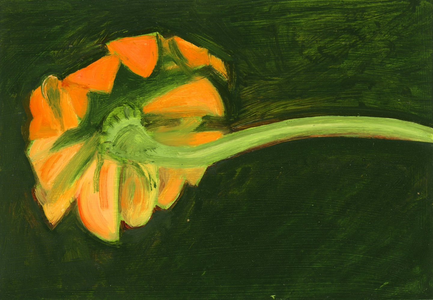 Painting of the back of an orange flower head against a dark green background