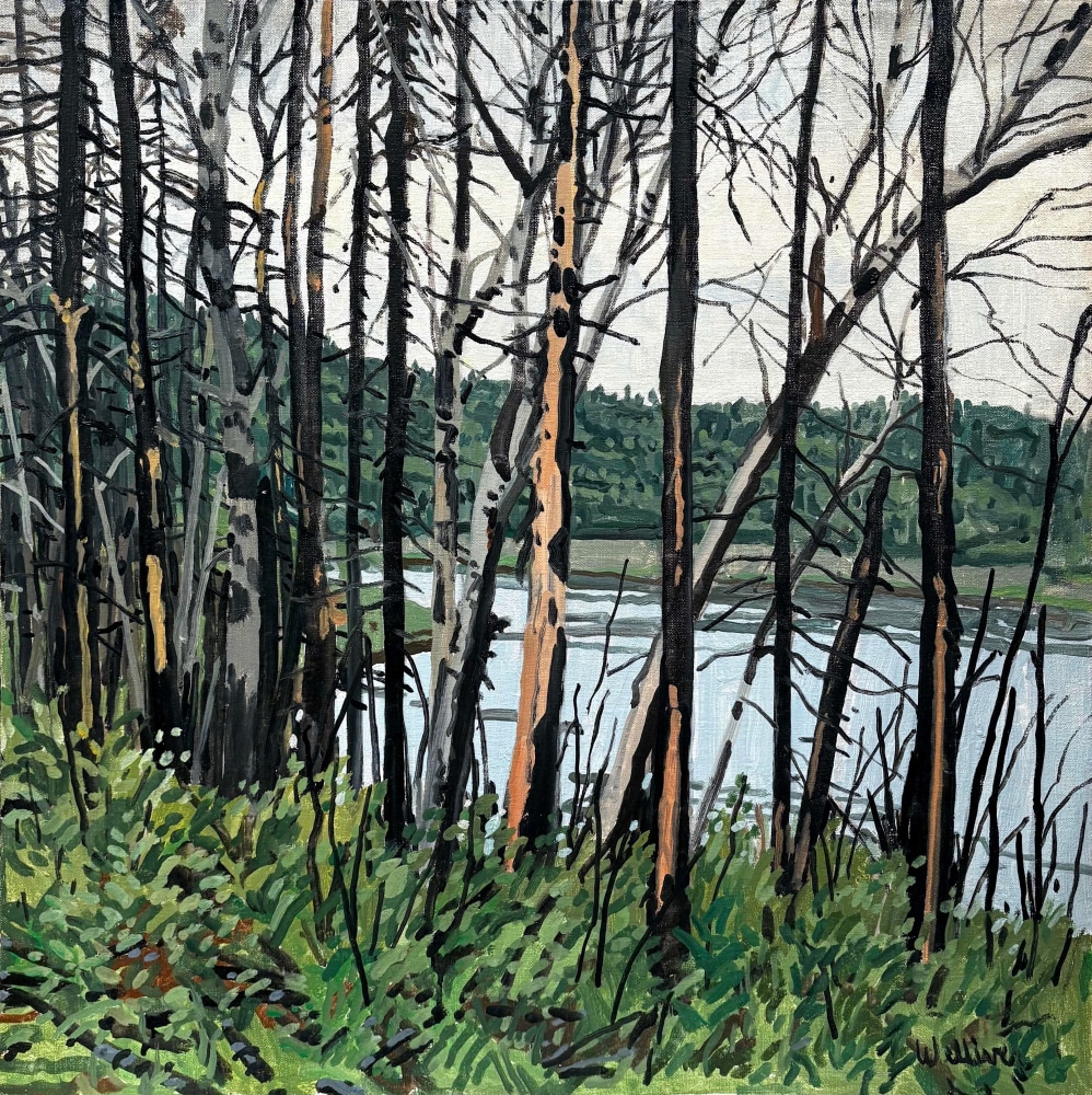 Study for Shaled Trees - Allagash, 1994, oil on canvas, 24 x 24 inches
