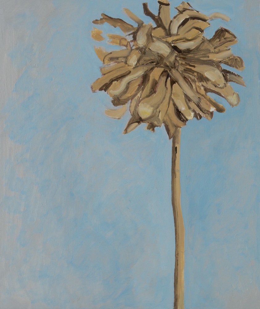 Dried Flower, 2023, oil on Masonite, 13 x 11 inches