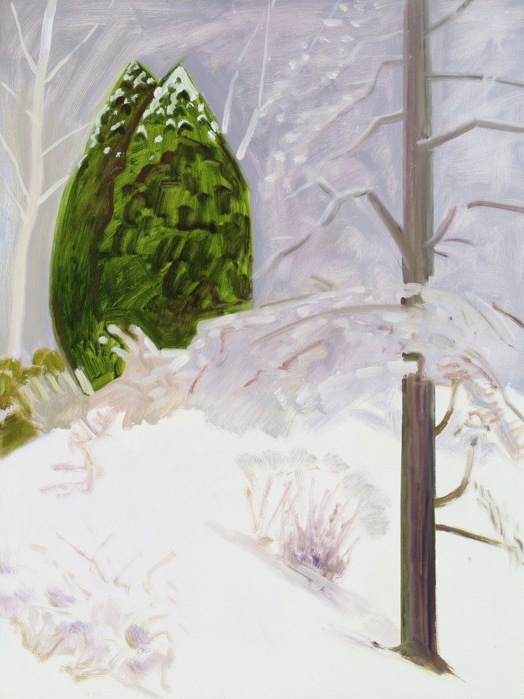 Twin Arbor Vitae in Snow, 2021, oil on Masonite, 16 1/8 x 12 1/8 inches