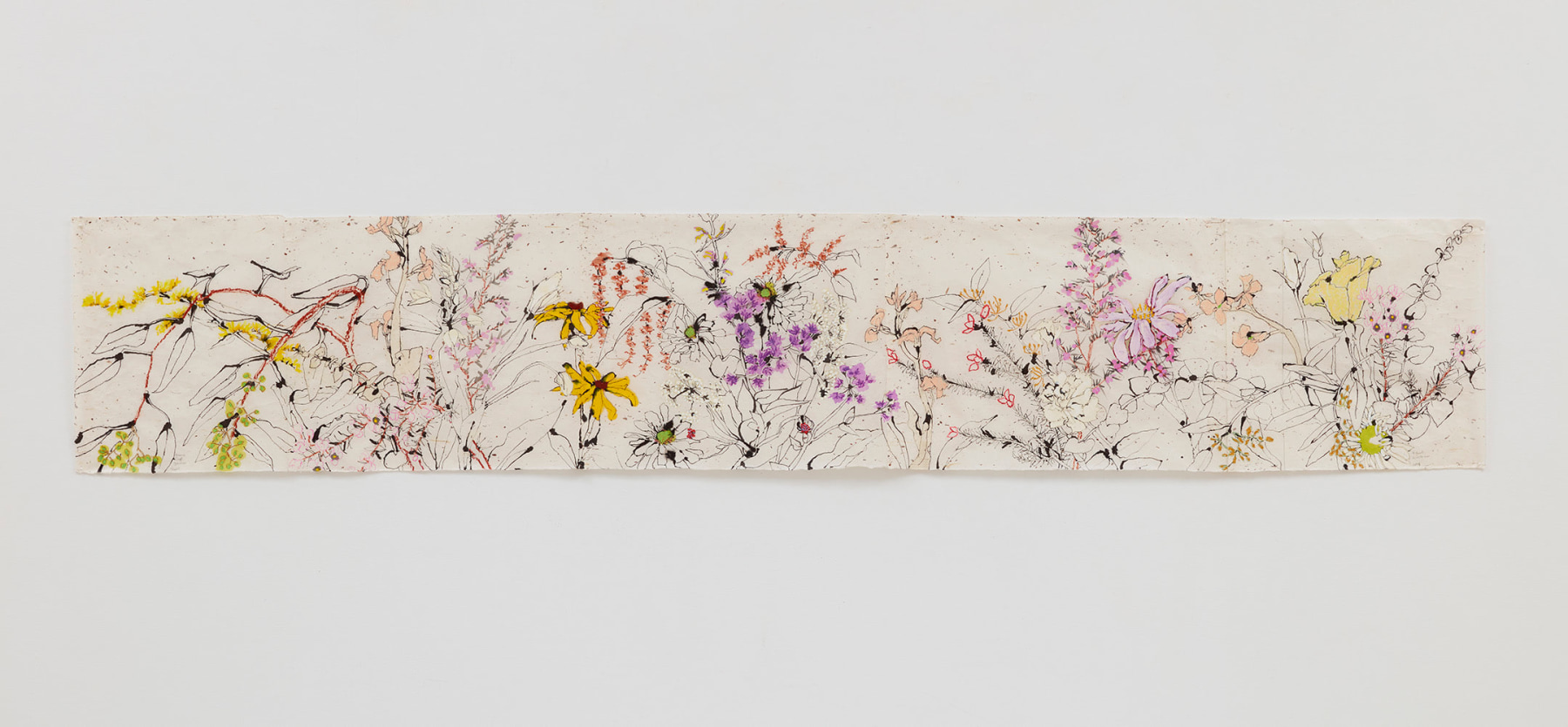 Drawings of various flowers in ink, with some portions colored in green, yellow, purple and orange