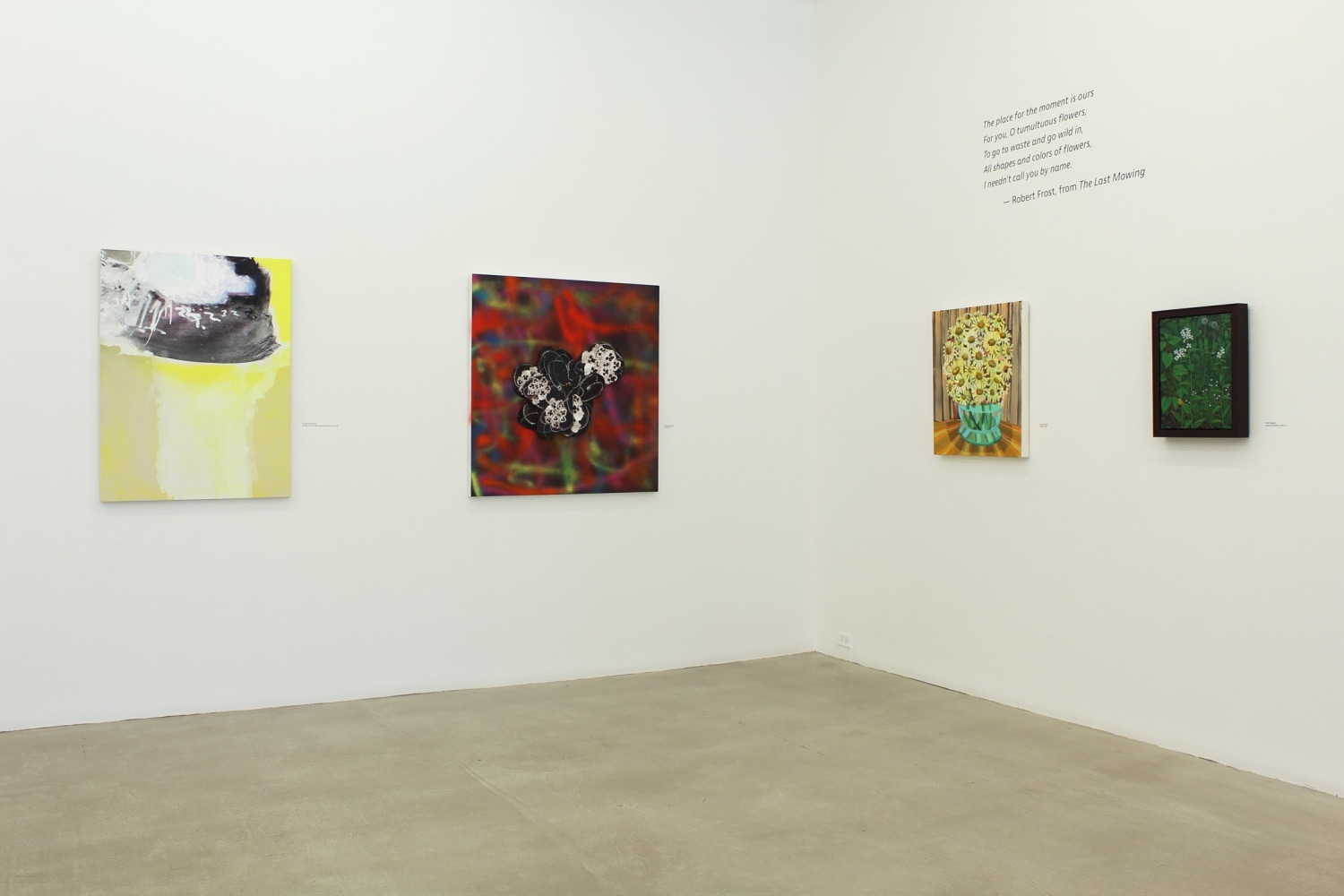 Photograph of a corner view of an exhibition with four paintings hung on a white wall