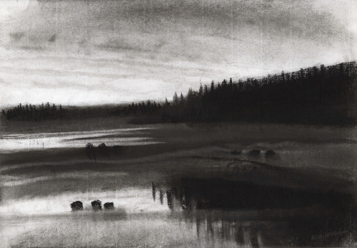 Charcoal landscape drawing of a cloudy sky at dawn or dusk, a tree-lined shore, and sea with three dark objects floating in it
