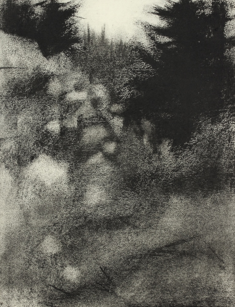 Atmospheric charcoal landscape drawing