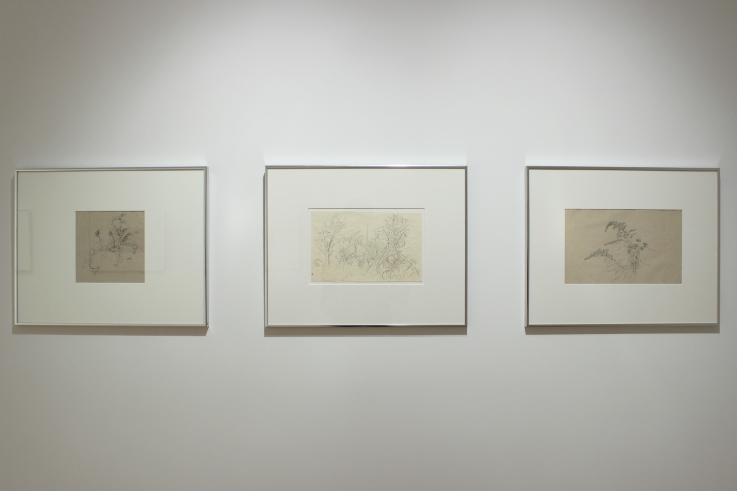 Photograph showing a detail view of an exhibition, with three framed drawings hanging on a white wall