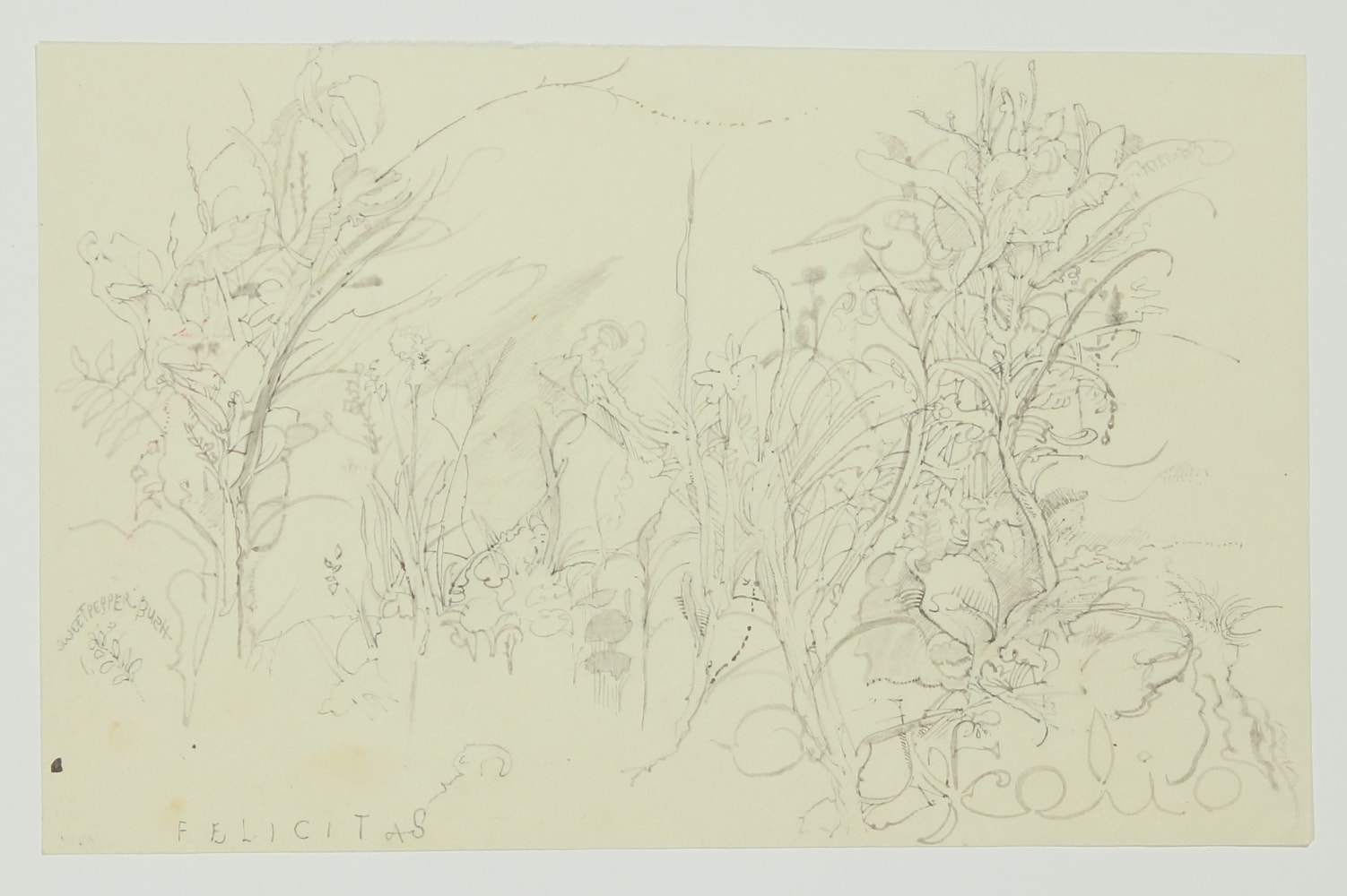Graphite drawing of a landscape with trees and flowering plants