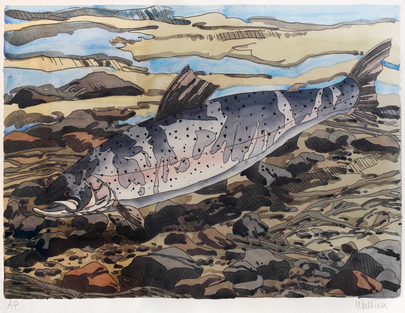 Etching of a fish swimming over a rocky riverbed