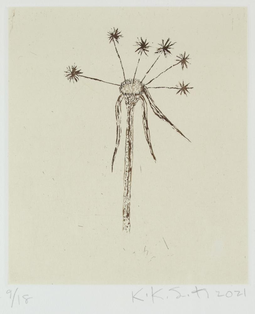 Black and white etching of a dandelion seed head with only five seeds remaining