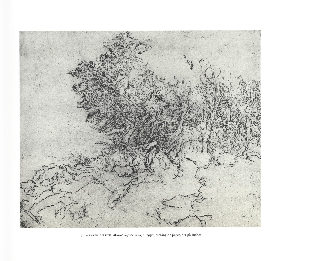 Cranberry Island: Drawings and Prints