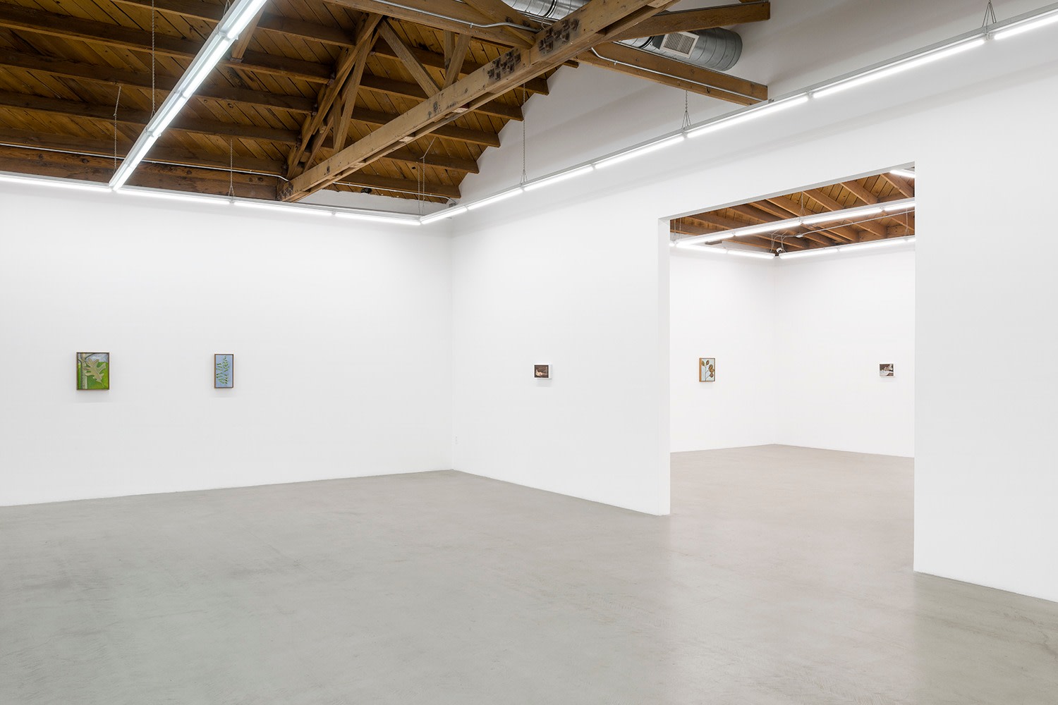 Lois Dodd | Ellen Siebers