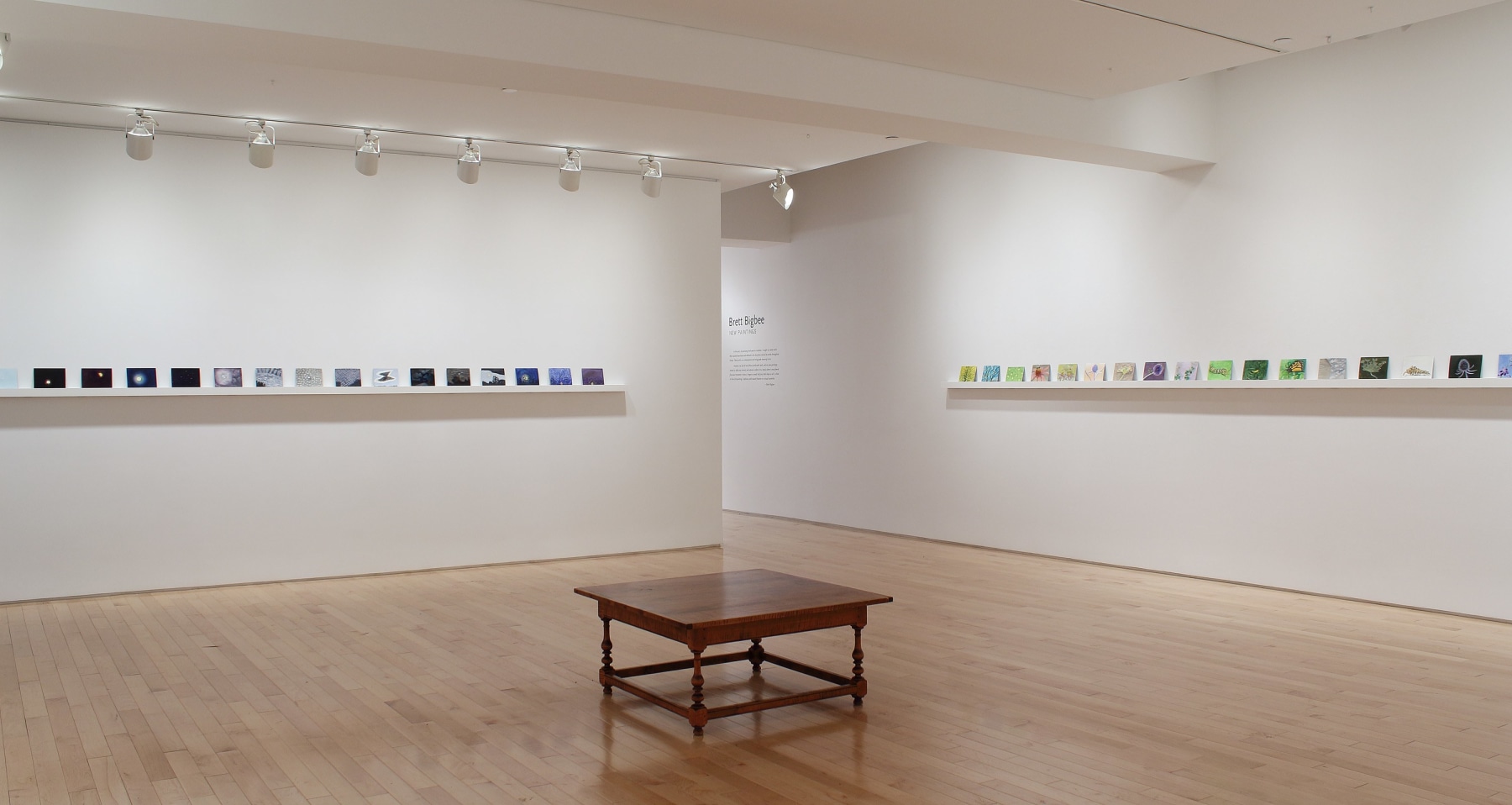 Photograph showing a corner view of an exhibition space, each wall holding dozens of small paintings on a long shelf