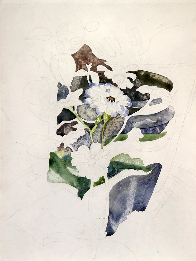 Graphite drawing of a group of flowers, with portions in the center painted in with watercolor