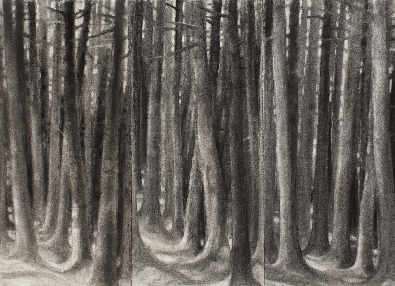 Woods near Preble Cove (triptych), before 1970, charcoal on paper, 13 1/2 x 18 3/4 inches