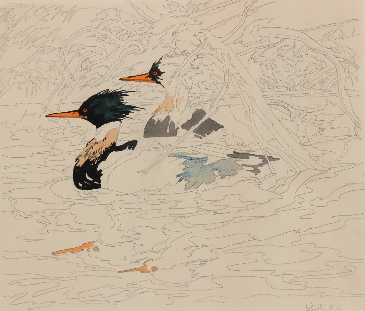 Partially colored-in drawing of two ducks floating in a body of water with a log on a bank behind them