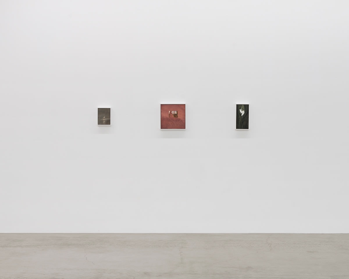 Lois Dodd | Ellen Siebers