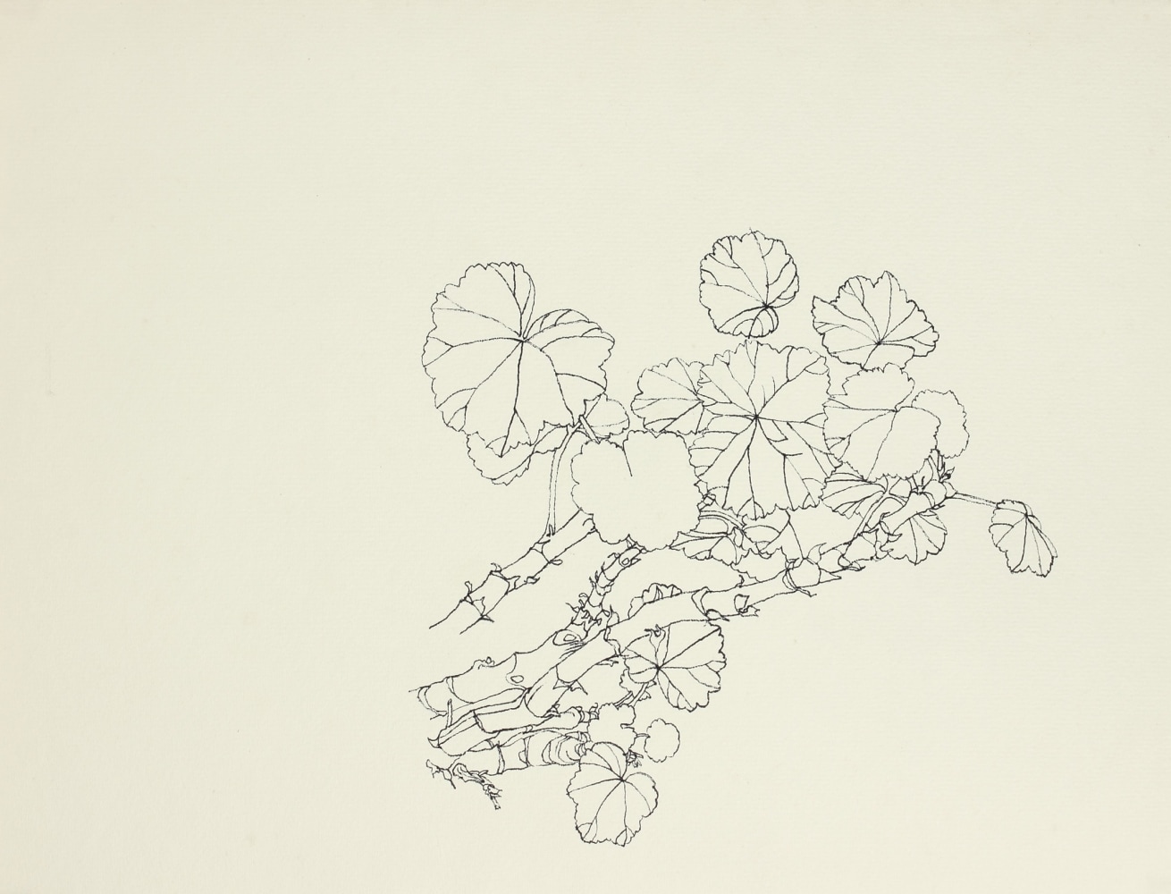 Untitled, ink on paper, 10 1/8 x 13 1/8 inches