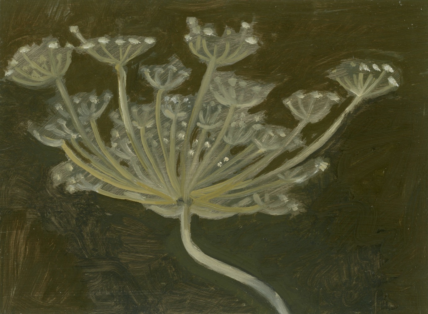 Painting of a flowering seed-head on a dark green ground