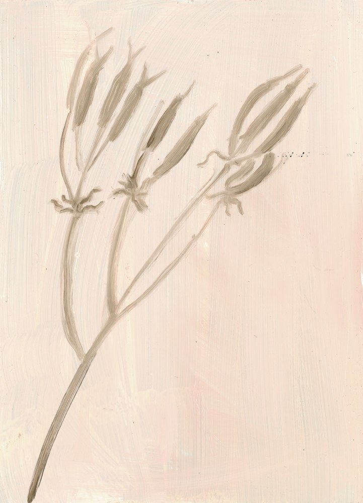 Painting of a branch of seed pods on a light pink ground