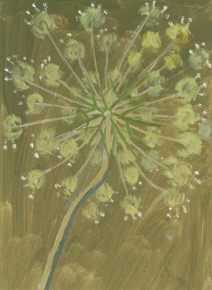 Painting of a plant with small white flowers on a brown ground
