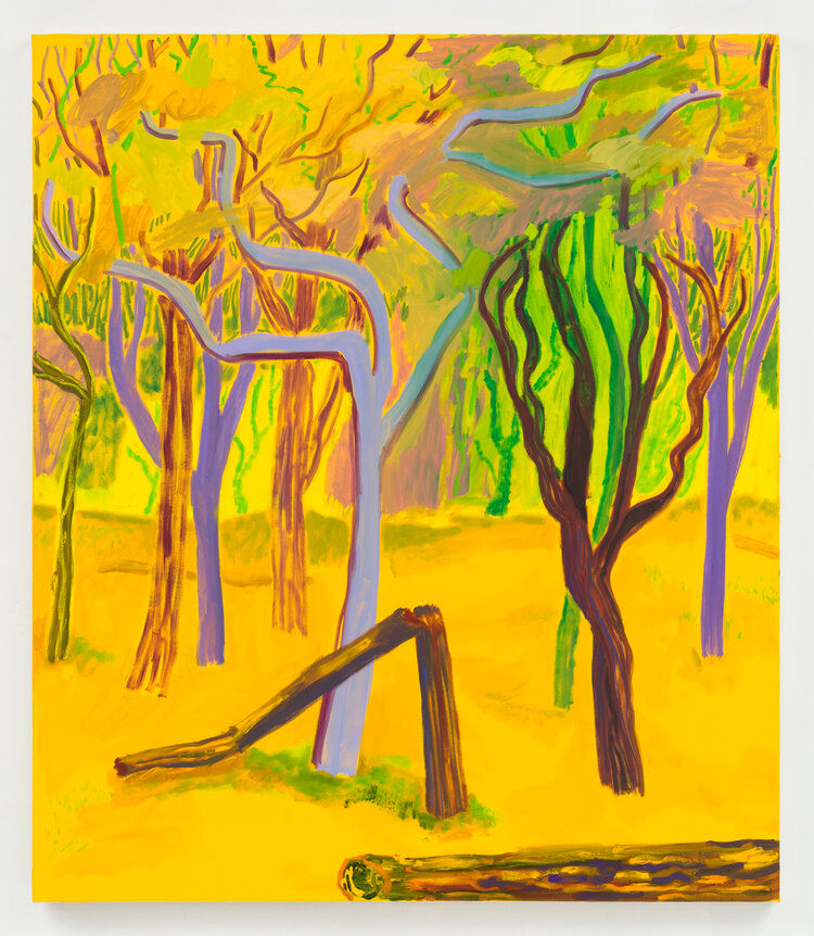 Shara Hughes, Subtle Signals