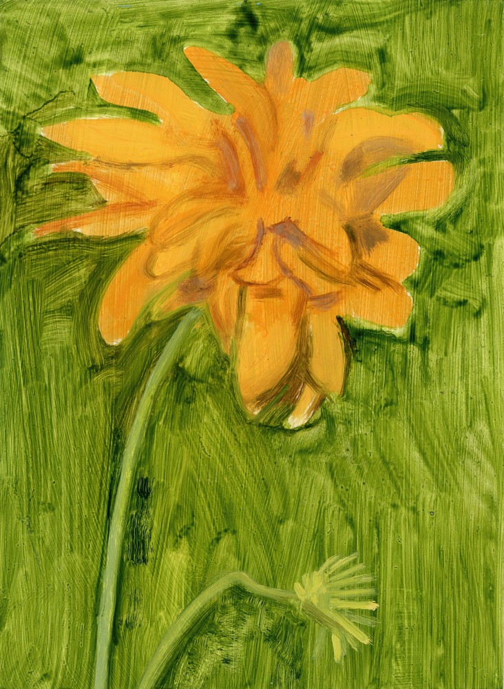 Painting of an orange flower against a green, grass-like ground