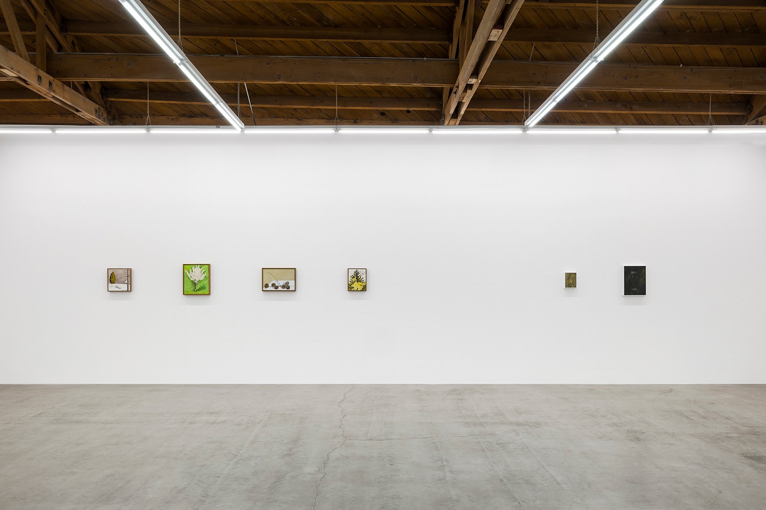 Lois Dodd | Ellen Siebers