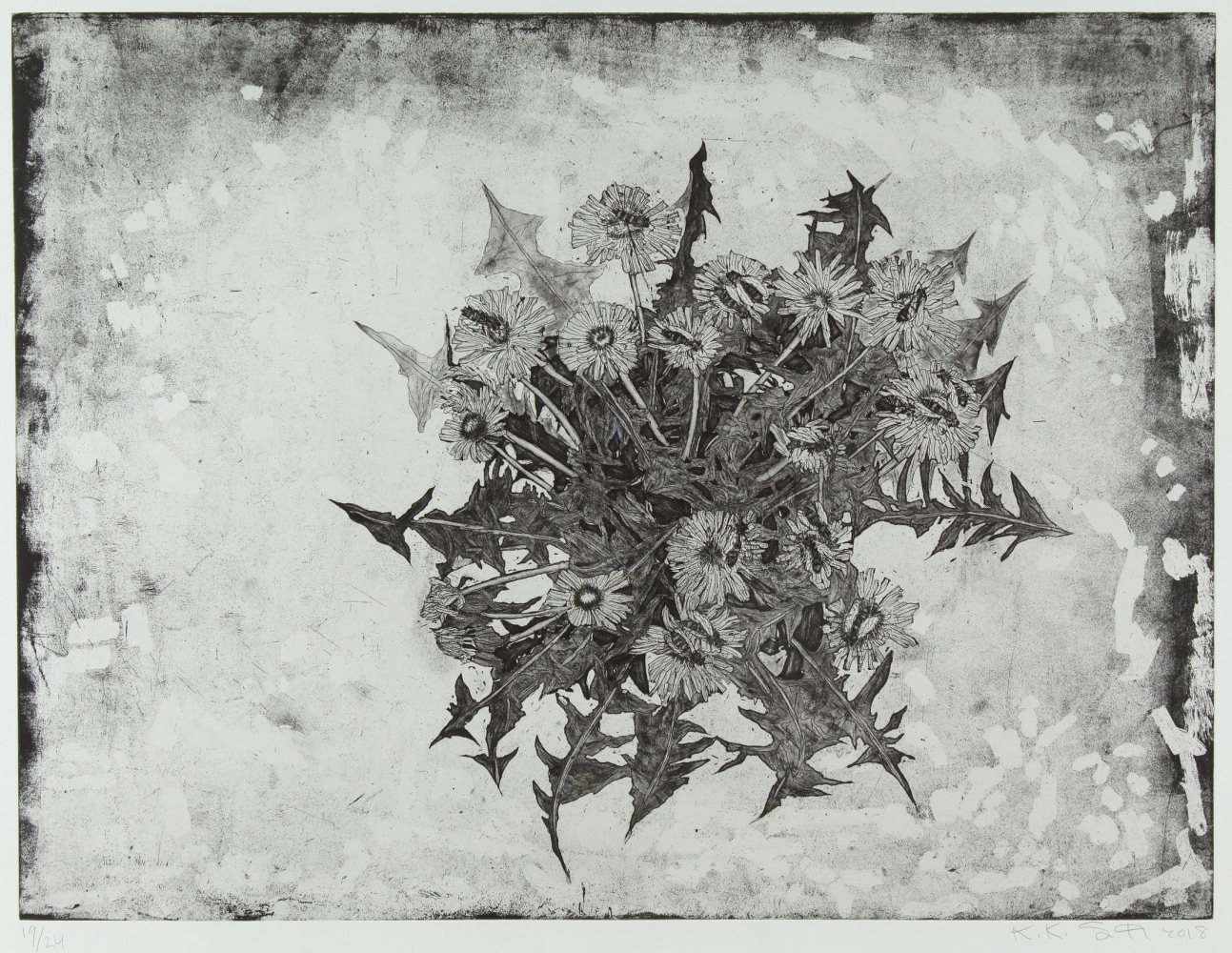 Black and white etching of a cluster of wildflowers on a white ground