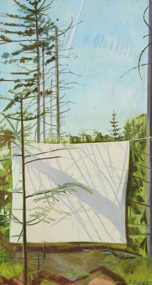 Sheet with Tree Shadows, 1980, oil on linen, 48 x 26 inches
