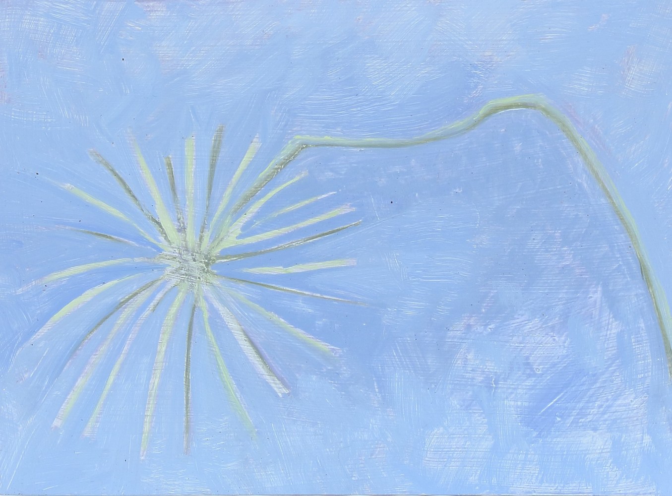 Painting of a white flower on a sky-blue ground
