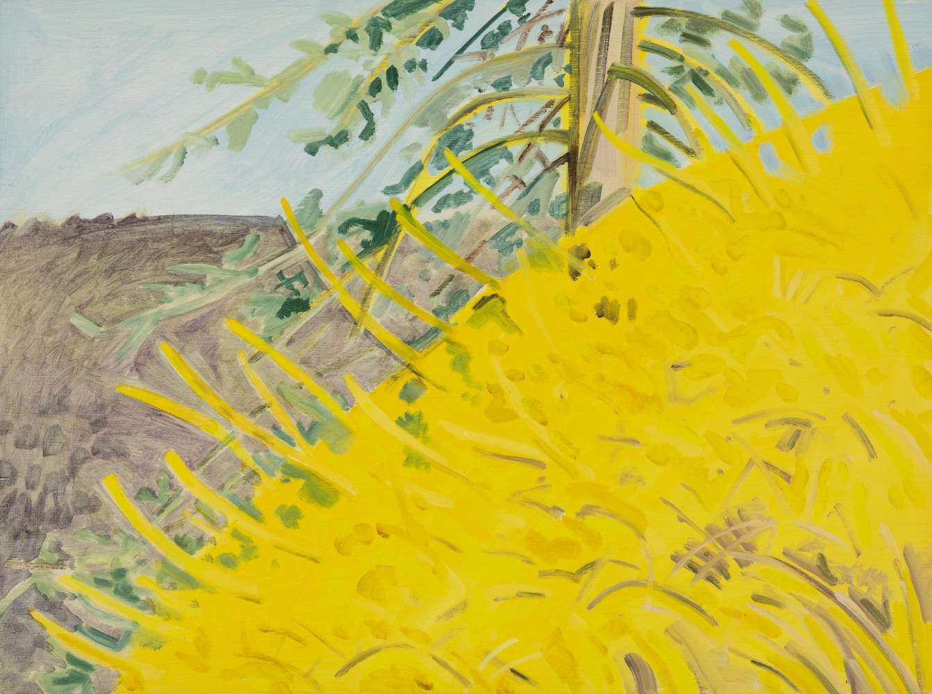 Forsythia + Spruce, 2005, oil on wood panel, 11 x 14 3/4 inches