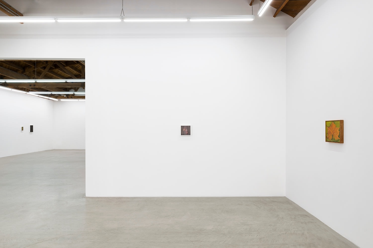 Lois Dodd | Ellen Siebers