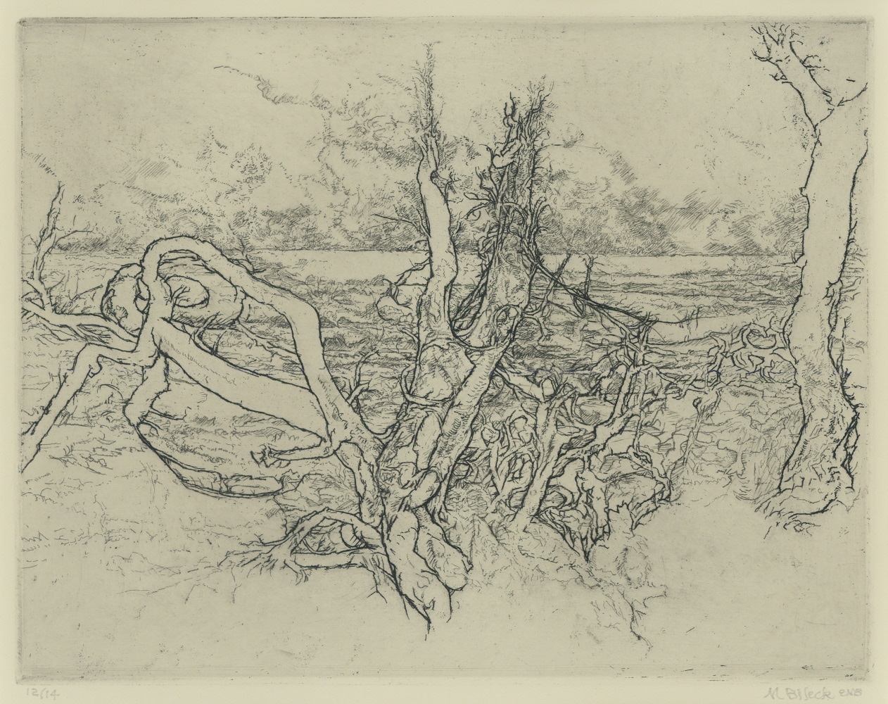Etching of fallen and dead trees with the sea in the background