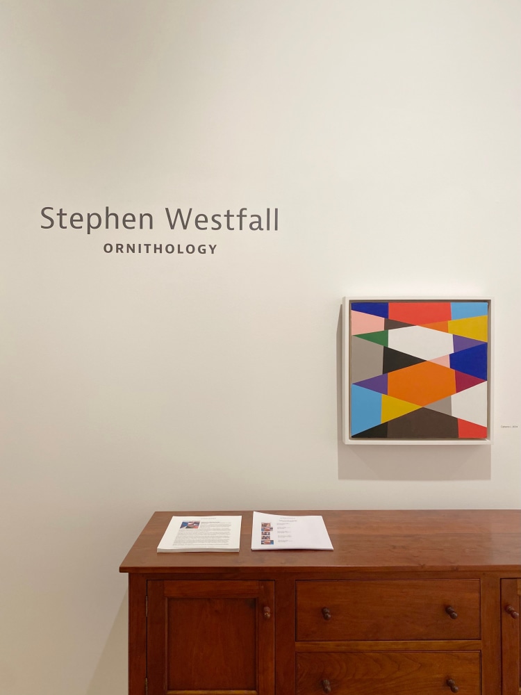 Stephen Westfall: Ornithology