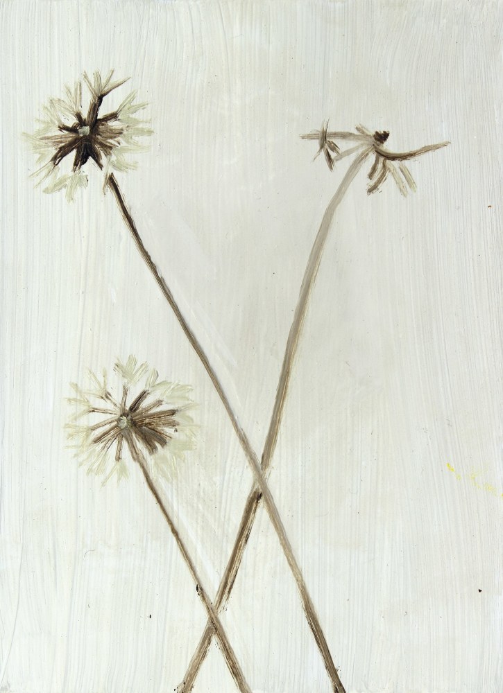 Painting of three brown seed-heads with small white flowers on a white ground