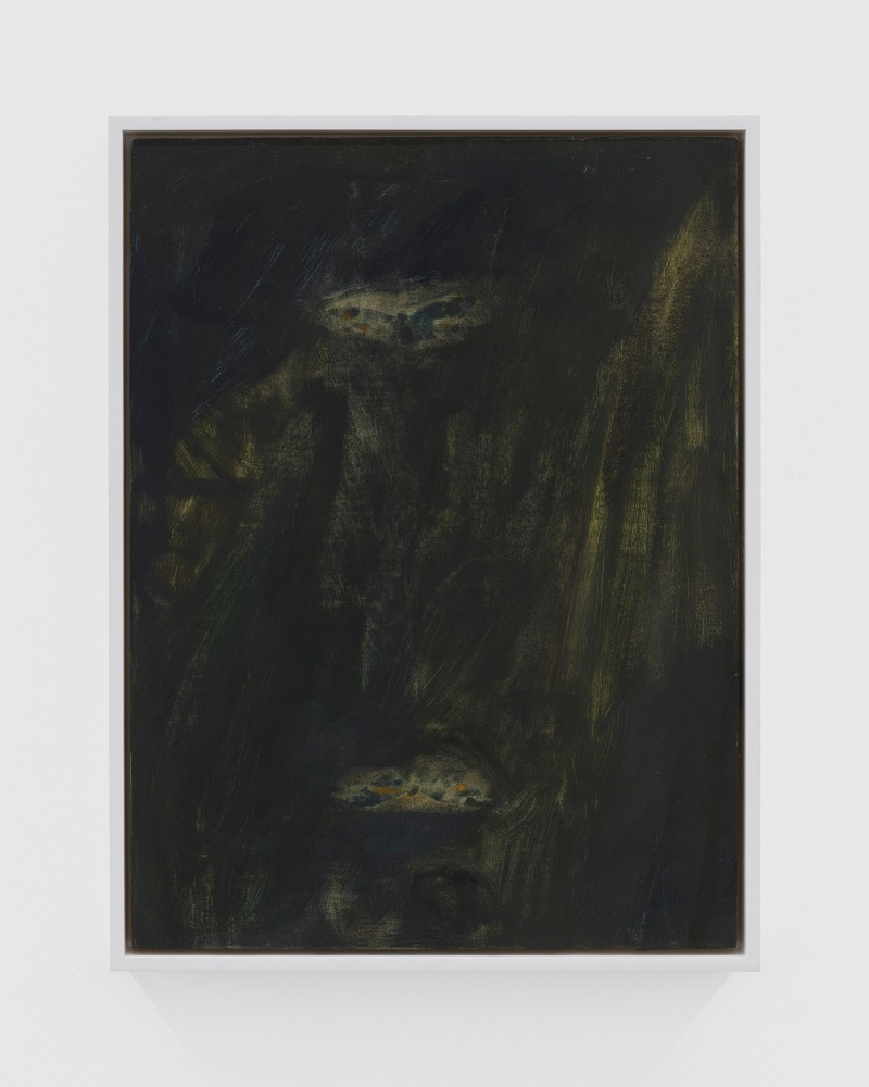 Ellen Siebers, two moths