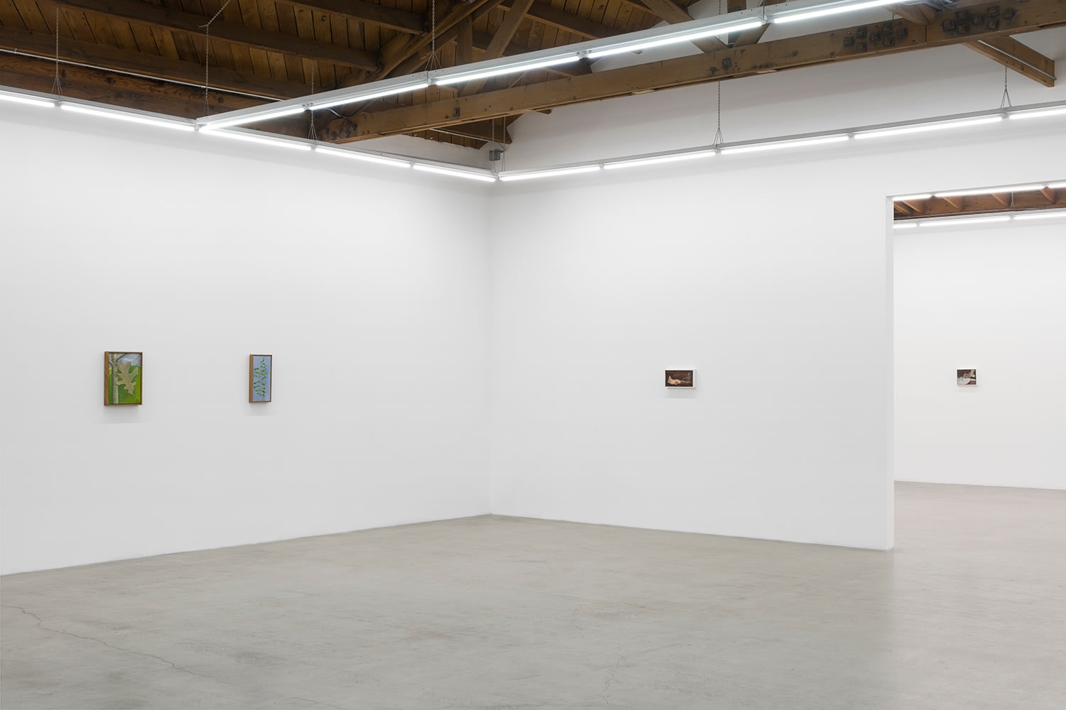 Lois Dodd | Ellen Siebers