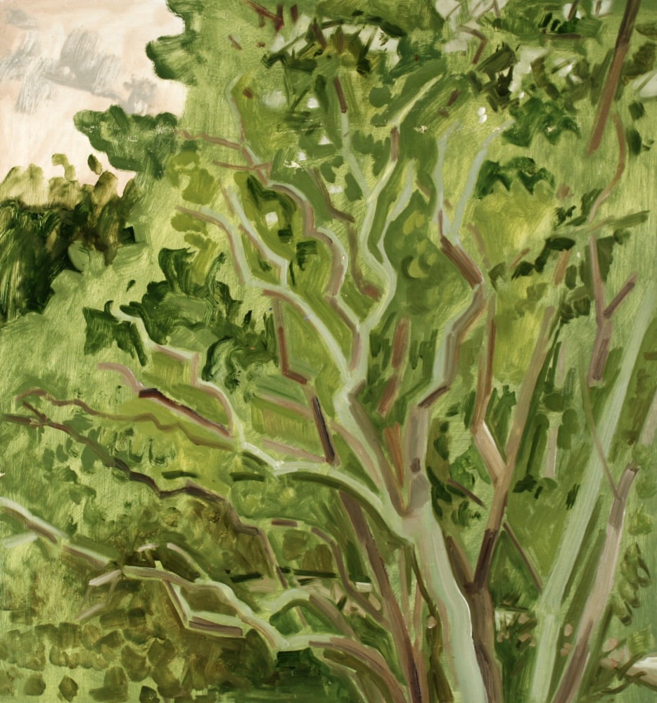 Lois Dodd - Artists & Work - Alexandre Gallery