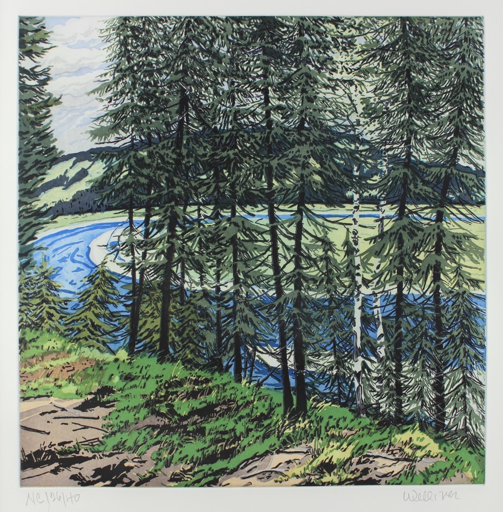 An image of a group of trees, with a blue river and mountain in the background