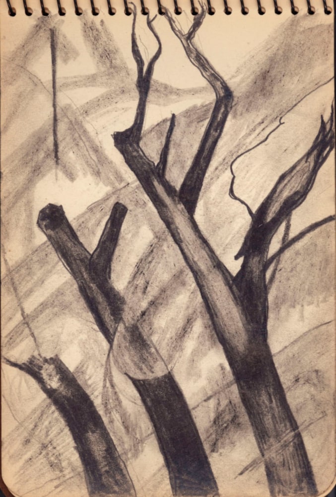 Helen Torr,&amp;nbsp;Untitled (&amp;quot;Trees&amp;quot;),&amp;nbsp;c. 1930-1932, graphite on paper, 4 x 5 3/4 inches